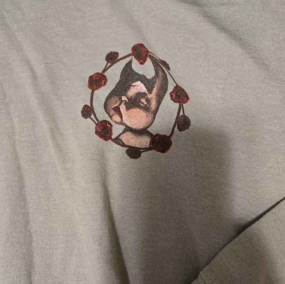 Nirvana Incesticide Hoodie Size Small Light Green No String In Hoodie - Picture 2 of 6